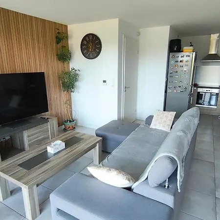 Vue Parlement Europeen - Grande Terrasse Au Calme - Tram A 2 Min - Parking Strasbourg